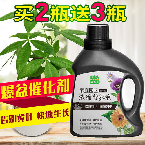 營(yíng)養(yǎng)液、花肥料與生物有機(jī)肥 盆栽綠蘿養(yǎng)護(hù)與未來(lái)肥料研發(fā)趨勢(shì)