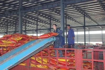 成長之星 | 源科生物 治理農(nóng)業(yè)面源污染，從土壤修復開始——生物有機肥料研發(fā)之路