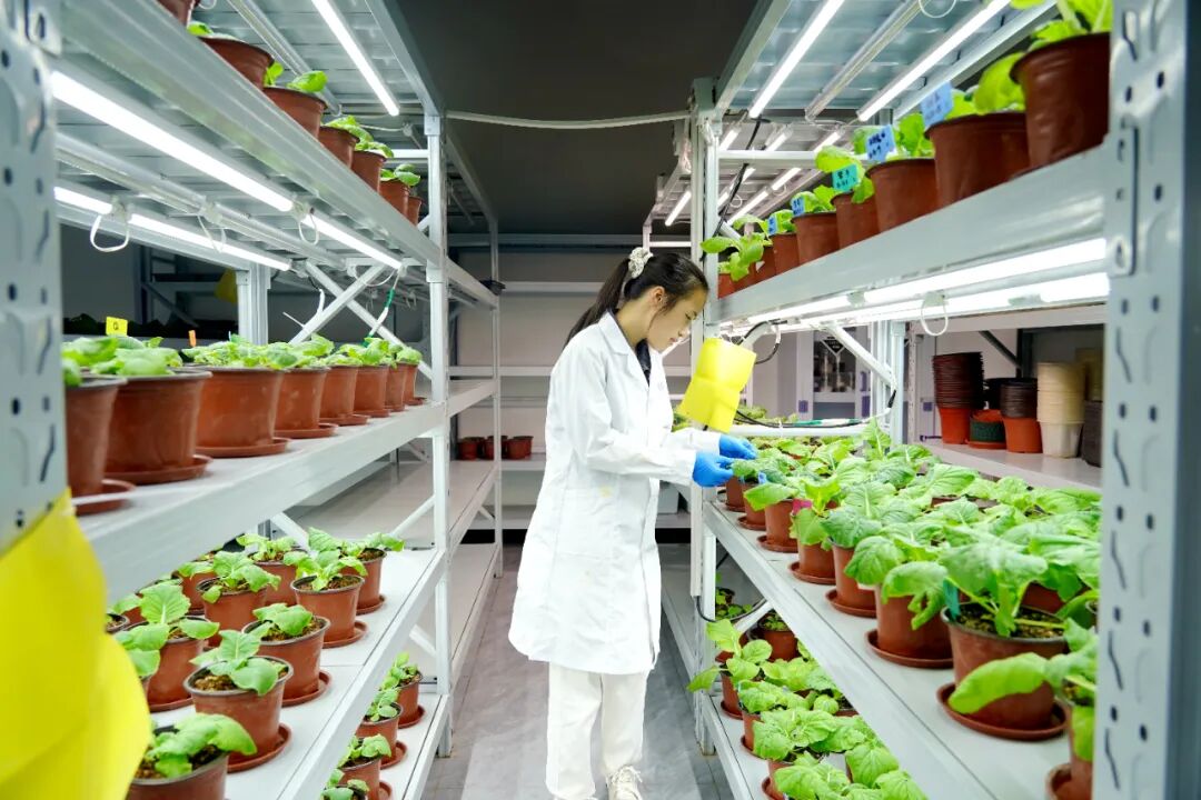 港北區(qū) 循環(huán)產(chǎn)業(yè)鏈賦能，打造有機(jī)無機(jī)‘糖蜜肥’生物有機(jī)肥新篇章