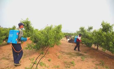 世代海洋生物科技 以科技與創(chuàng)新為雙翼，引領(lǐng)海帶行業(yè)與生物有機(jī)肥研發(fā)新篇章