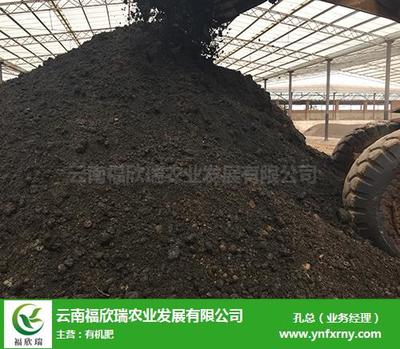 個舊微生物有機肥推薦 福欣瑞農業，創新研發引領綠色農業新篇章